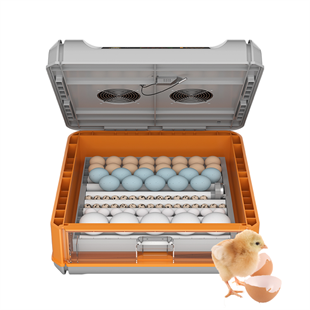 2022 Model Yeni Nesil 60 yumurtalık Kuluçka Makinesi 